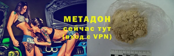 прущие грибы Михайловка