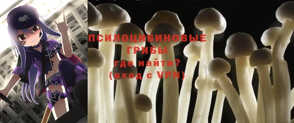 гидра Михайловск