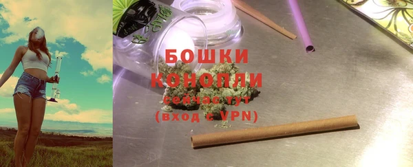 прущие грибы Михайловка