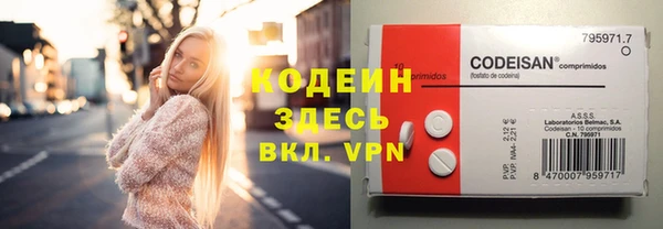 прущие грибы Михайловка