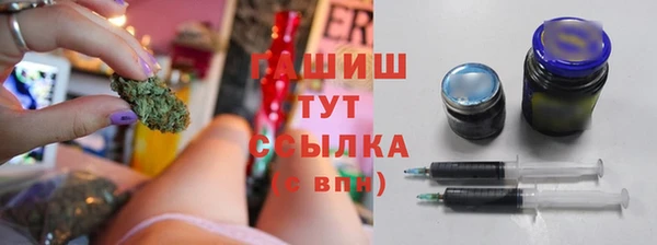прущие грибы Михайловка
