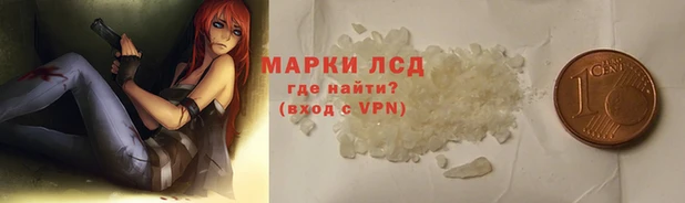 гидра Михайловск
