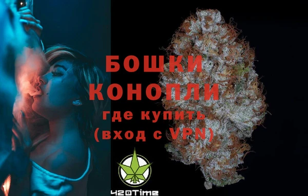 прущие грибы Михайловка