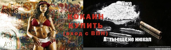 прущие грибы Михайловка