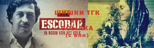 прущие грибы Михайловка